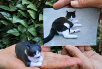 笠岡　墓石販売　石工房谷川　客様の声